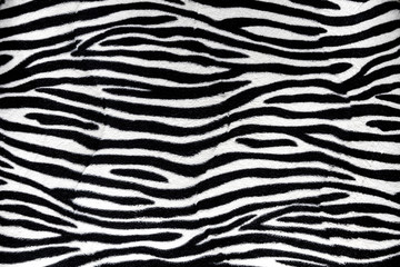 Zebra fur background texture