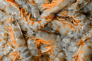 Background of tiger prawns on ice