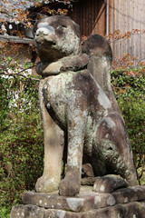 Fototapeta na wymiar statue of a fox in a shinto temple (jozan inari) in matsue (japan)