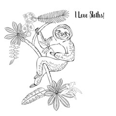 Sloths in Jungle-01