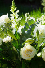 Blumenstrauss im Sonnenlicht