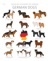 Dogs by country of origin. German dog breeds. Shepherds, hunting, herding, toy, working and service dogs  set