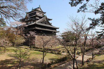 Naklejka premium castle in matsue (japan)
