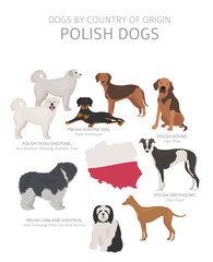 Dogs by country of origin. Polish dog breeds. Shepherds, hunting, herding, toy, working and service dogs  set