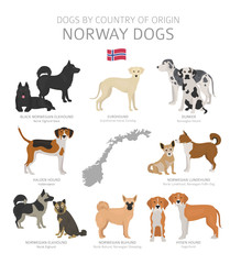 Dogs by country of origin. Norway dog breeds. Shepherds, hunting, herding, toy, working and service dogs  set