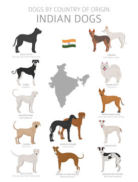 Dogs by country of origin. Indian dog breeds. Shepherds, hunting, herding, toy, working and service dogs  set