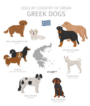 Dogs by country of origin. Greek dog breeds. Shepherds, hunting, herding, toy, working and service dogs  set.