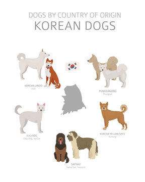 Dogs by country of origin. Korean dog breeds. Shepherds, hunting, herding, toy, working and service dogs  set
