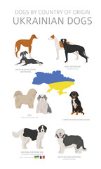 Dogs by country of origin. Ukrainian dog breeds. Shepherds, hunting, herding, toy, working and service dogs  set