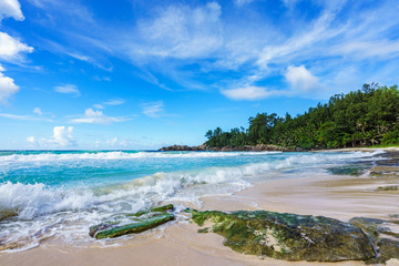 Beautiful wild lonely beach, police bay, seychelles 33