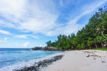 Beautiful wild lonely beach, police bay, seychelles 4