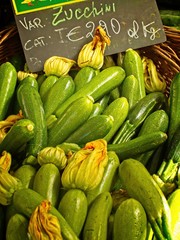 marrows