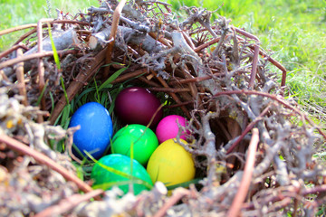 Easter eggs in the nest in the sun