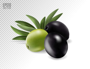 Green and black olives on transparent. Photo-realistic vector, 3d