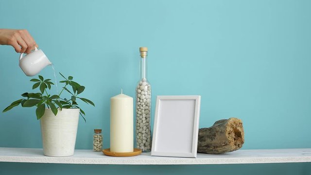 Modern room decoration with Picture frame mockup. White shelf against pastel turquoise wall with Candle and rocks in bottle. Hand watering potted schefflera plant