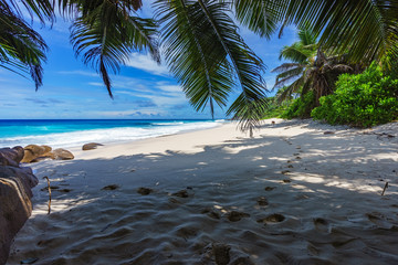 beautiful paradise beach, anse bazarca, seychelles 11