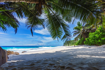 beautiful paradise beach, anse bazarca, seychelles 14
