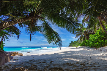 beautiful paradise beach, anse bazarca, seychelles 16