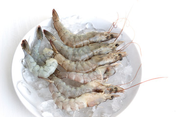 fresh shrimp and ice isolated on white background