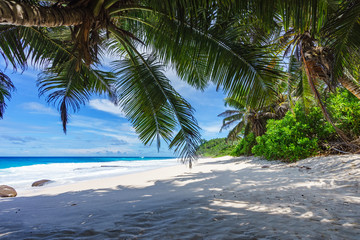 beautiful paradise beach, anse bazarca, seychelles 18