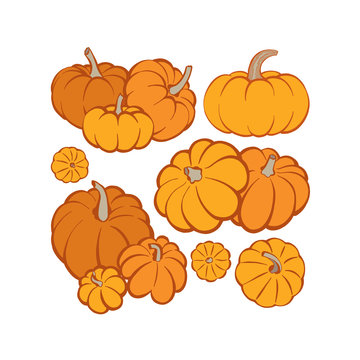 Pumpkin. Pumpkins hand drawn vector illustrations set. Pumpkin sketch drawing. 