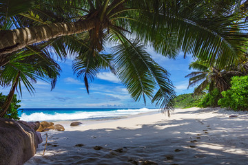 beautiful paradise beach, anse bazarca, seychelles 20