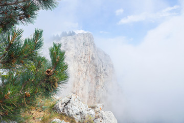 Foggy views on ai-petri mountain in Crimea in the summer time