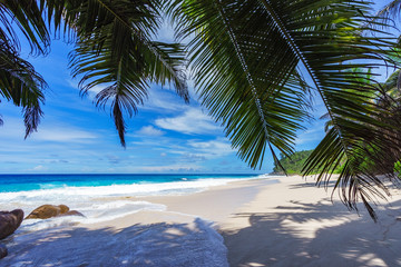beautiful paradise beach, anse bazarca, seychelles 25