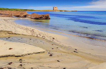 Apulia beach: Nature Reserve of Torre Guaceto.Italy.The nature sanctuary between the land and the sea: In the background the medieval guard tower and accumulations of posidonia on the shoreline.