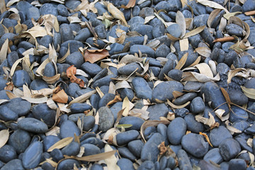 Black gravel pebble with dried leaf for Background.