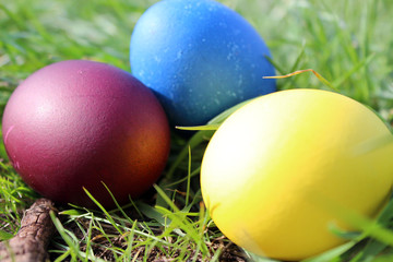 Easter eggs in green grass in the sun
