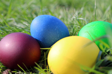 Easter eggs in green grass in the sun