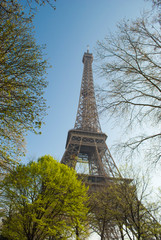 The Eiffel Tower in Paris, France - 262984074