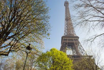 The Eiffel Tower in Paris, France - 262984077