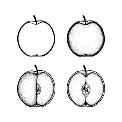 Apple. Hand drawn apples vector illustrations set. 