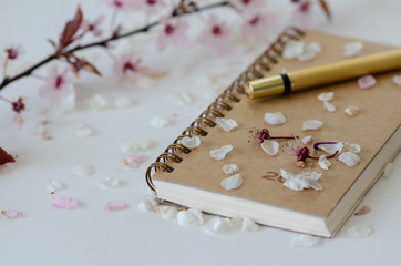 Obraz na płótnie Canvas Stilllife with a notebook,pen and flower petals