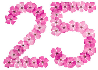 Numeral 25, twenty five, from natural pink flowers of periwinkle, isolated on white background
