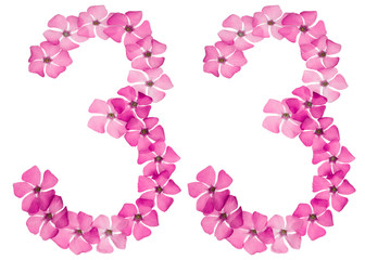 Numeral 33, thirty three, from natural pink flowers of periwinkle, isolated on white background