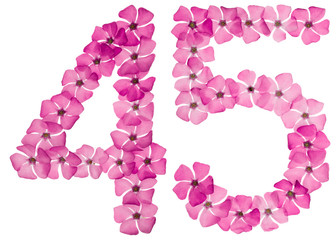 Numeral 45, forty five, from natural pink flowers of periwinkle, isolated on white background