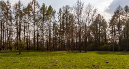 Park of Polish Pilots in Krakow