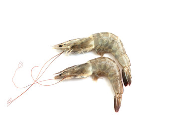 fresh shrimp isolated on white background