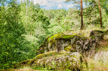 moss on the ancient stone in Karelian forest