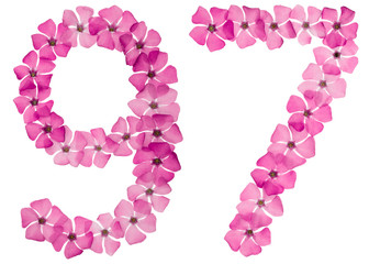 Numeral 97, ninety seven, from natural pink flowers of periwinkle, isolated on white background