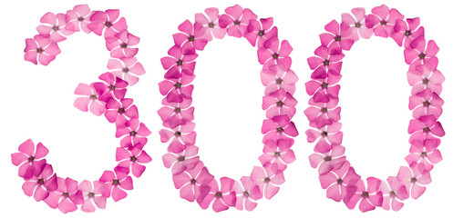 Numeral 300, three hundred, from natural pink flowers of periwinkle, isolated on white background