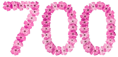 Numeral 700, seven hundred, from natural pink flowers of periwinkle, isolated on white background