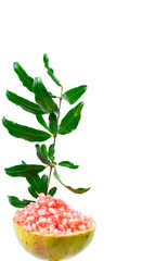 Pomegranate fruit white background
