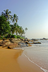 Paradiesischer Strand mit Palmen in Tangalle (Sri Lanka)