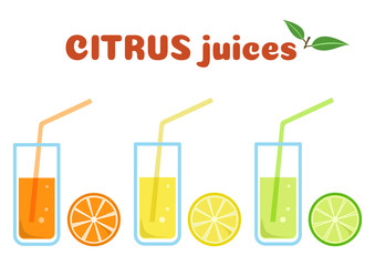 Citrus juices in glasses with fruits, colorful set, vector illustration
