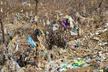 Plastic bags and bottles in a landfill. Unauthorized release of garbage, pollution of nature. The concept of environmental disaster.