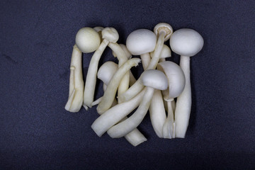 Golden mushroom and white jade mushroom isolated on black background.
